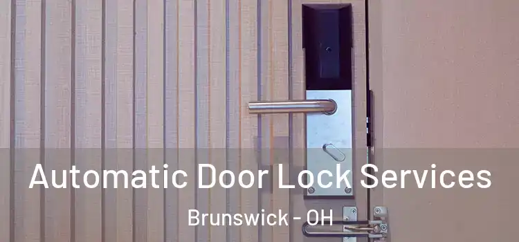 Automatic Door Lock Services Brunswick - OH