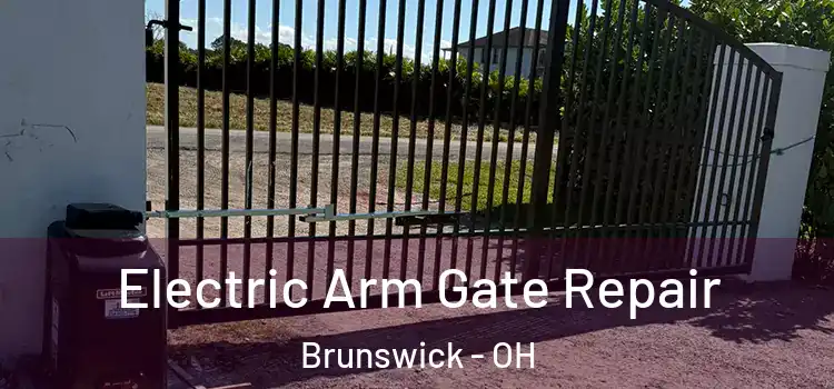 Electric Arm Gate Repair Brunswick - OH