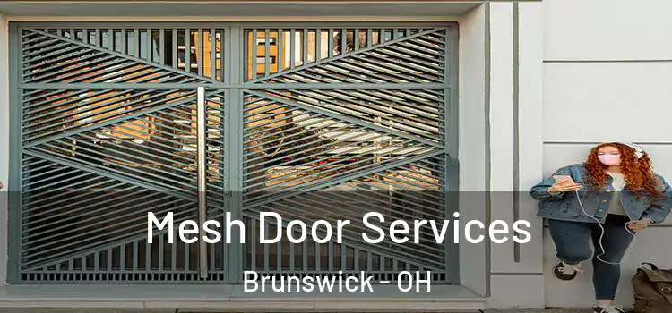 Mesh Door Services Brunswick - OH