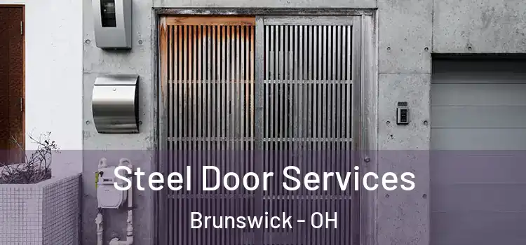 Steel Door Services Brunswick - OH